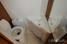 Weisnberg carabus wc